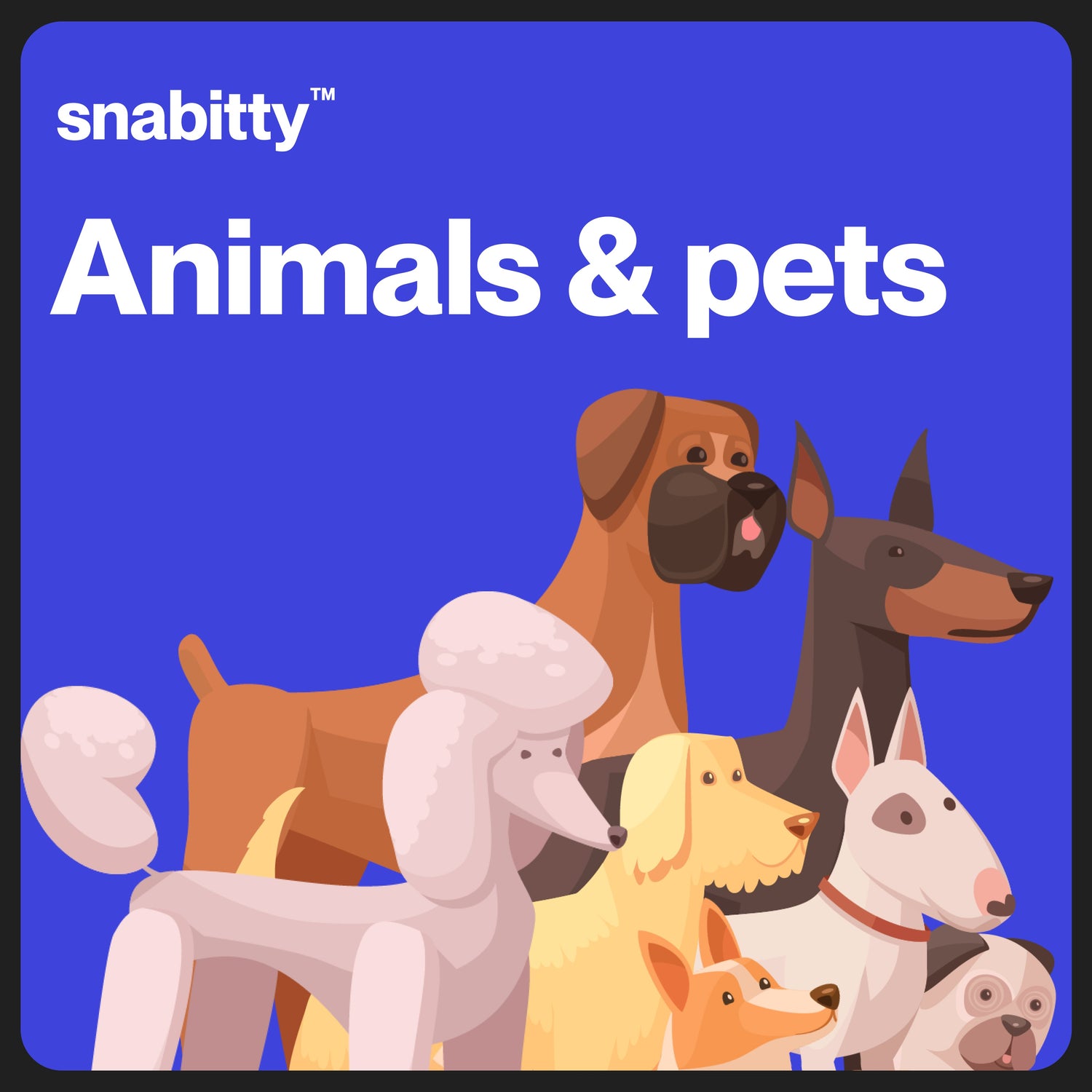 Animals & Pets