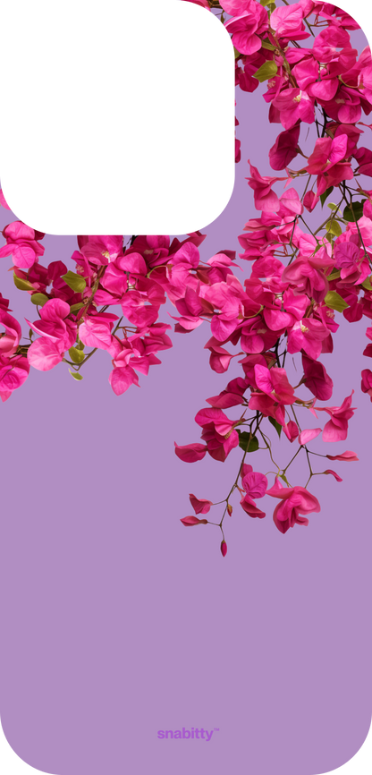 Bougainvillea