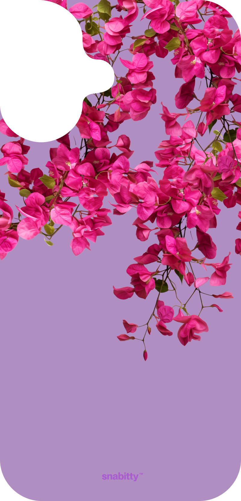 Bougainvillea