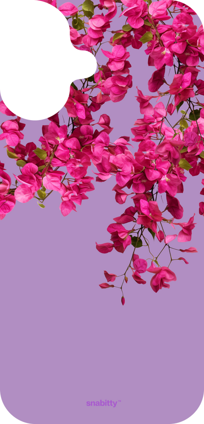 Bougainvillea