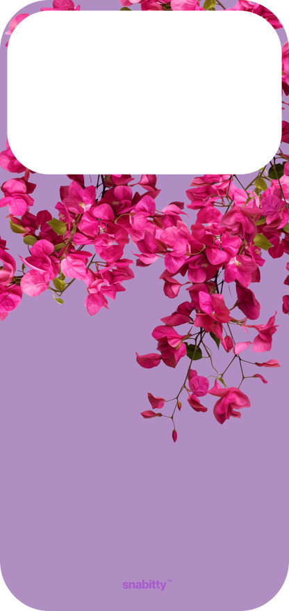 Bougainvillea