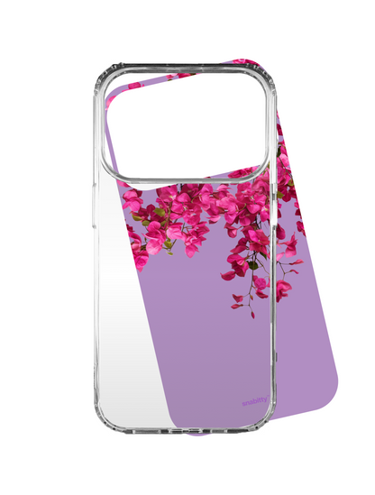 Bougainvillea