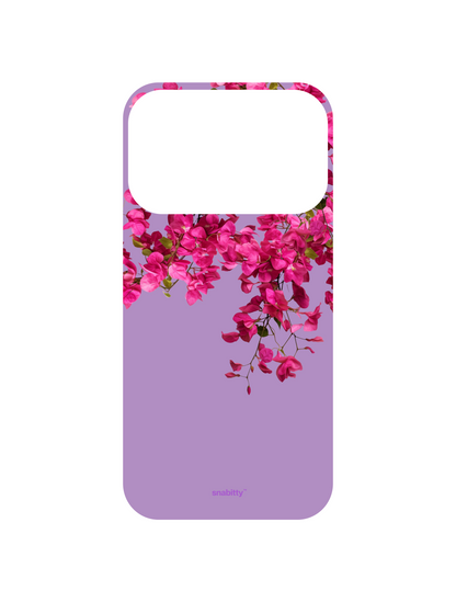 Bougainvillea