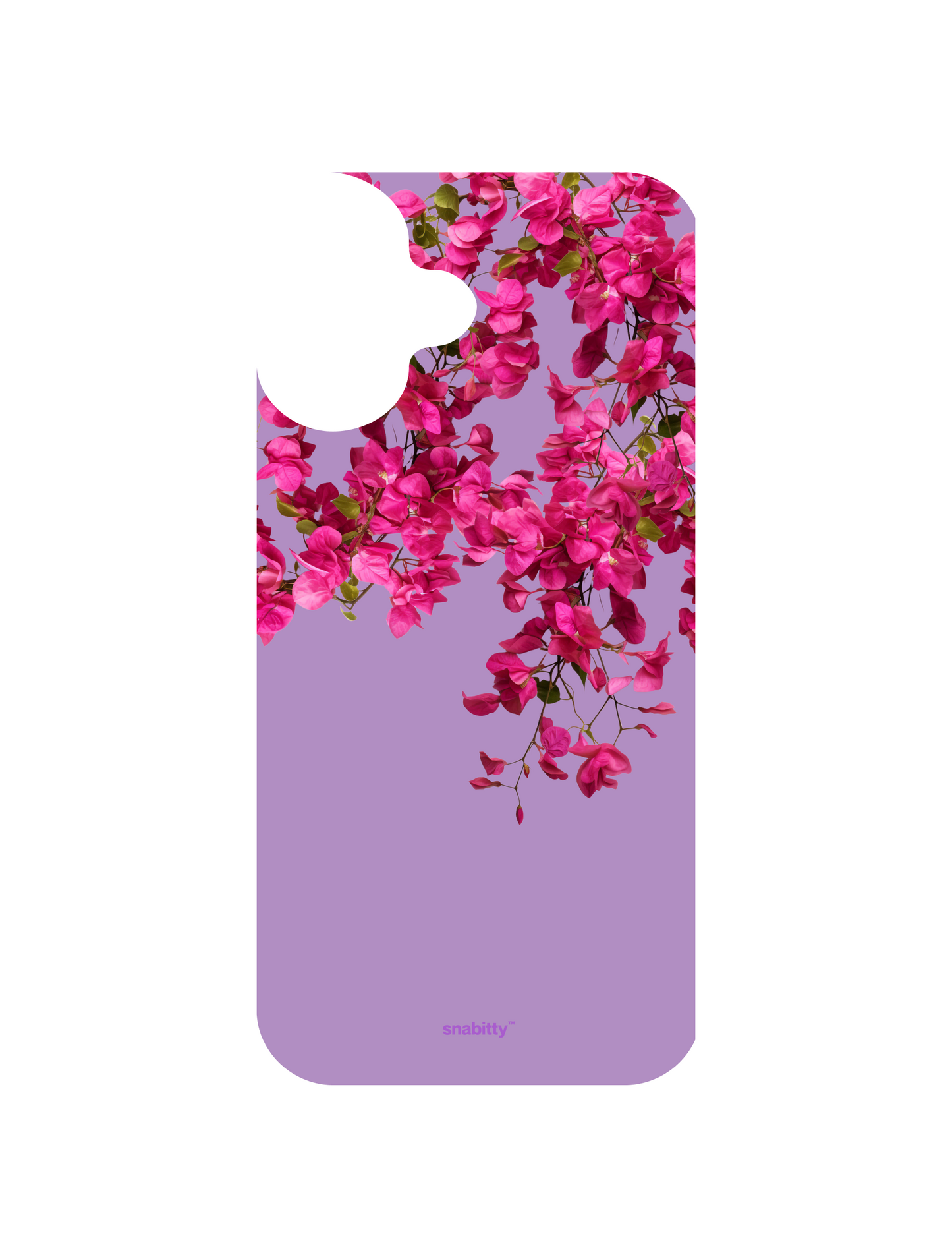 Bougainvillea
